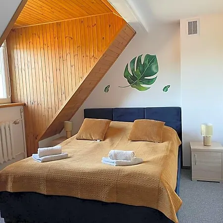 Bed and breakfast Dom Goscinny